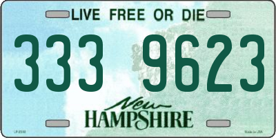 NH license plate 3339623