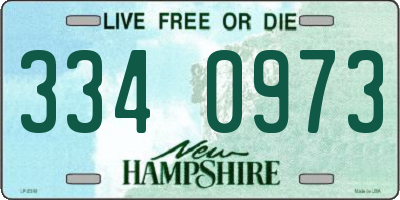 NH license plate 3340973
