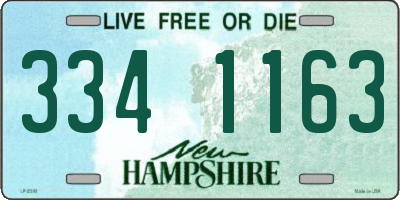 NH license plate 3341163