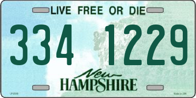 NH license plate 3341229