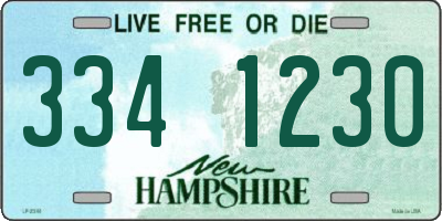 NH license plate 3341230