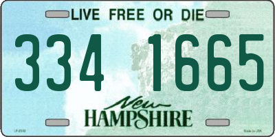 NH license plate 3341665