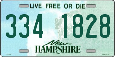 NH license plate 3341828