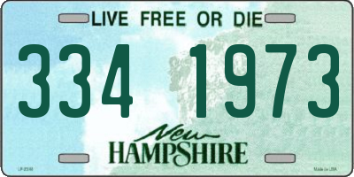 NH license plate 3341973