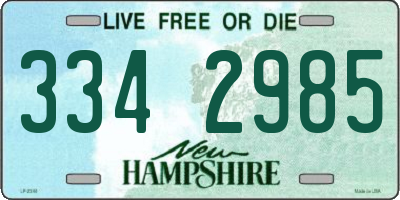 NH license plate 3342985