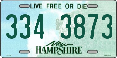 NH license plate 3343873