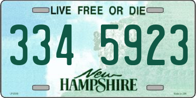 NH license plate 3345923