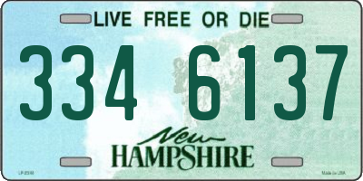 NH license plate 3346137