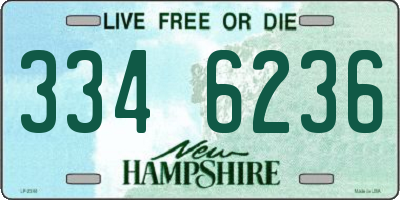 NH license plate 3346236