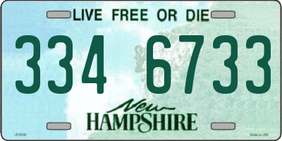 NH license plate 3346733