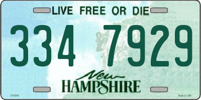 NH license plate 3347929