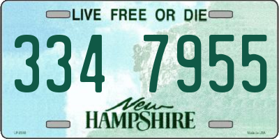 NH license plate 3347955