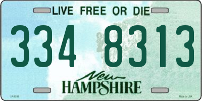 NH license plate 3348313