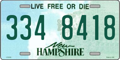NH license plate 3348418