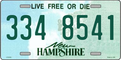 NH license plate 3348541