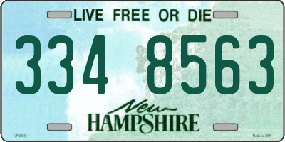 NH license plate 3348563