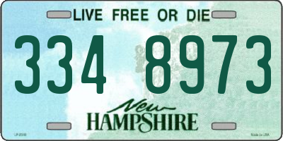 NH license plate 3348973