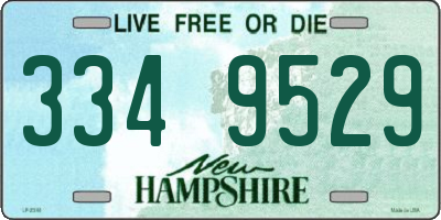 NH license plate 3349529