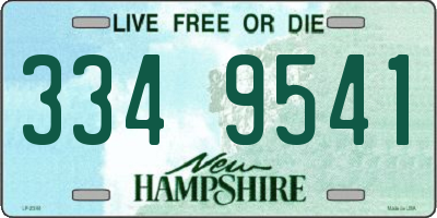 NH license plate 3349541