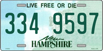 NH license plate 3349597