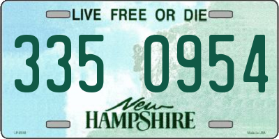 NH license plate 3350954