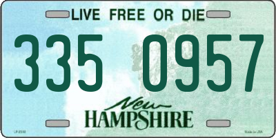 NH license plate 3350957