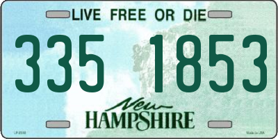 NH license plate 3351853