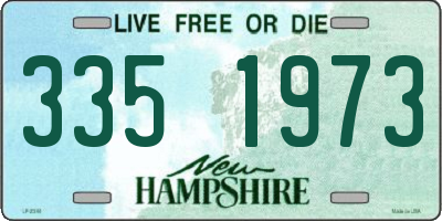 NH license plate 3351973