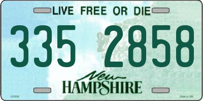 NH license plate 3352858