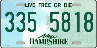 NH license plate 3355818