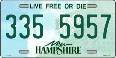 NH license plate 3355957