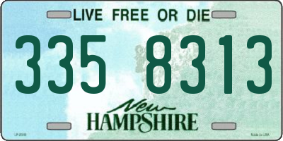 NH license plate 3358313