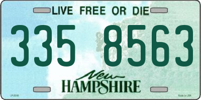 NH license plate 3358563