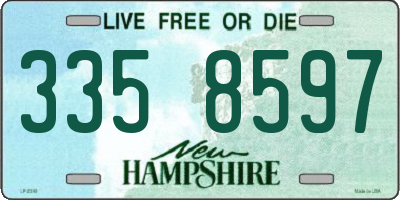 NH license plate 3358597