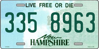 NH license plate 3358963
