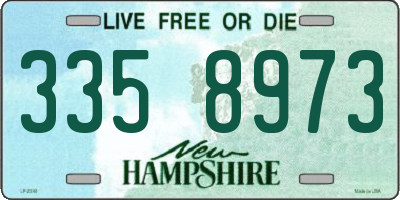 NH license plate 3358973