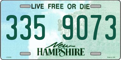 NH license plate 3359073