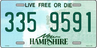 NH license plate 3359591