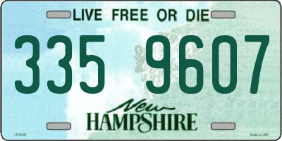 NH license plate 3359607