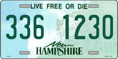 NH license plate 3361230