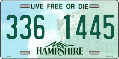 NH license plate 3361445