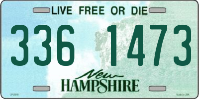 NH license plate 3361473