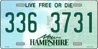 NH license plate 3363731