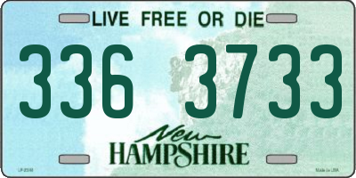 NH license plate 3363733