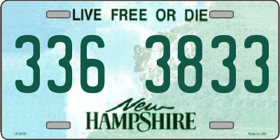 NH license plate 3363833