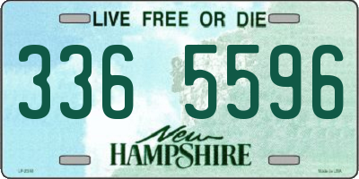 NH license plate 3365596