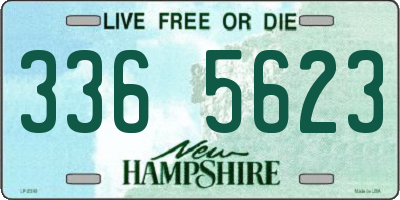 NH license plate 3365623