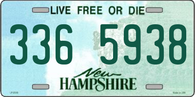 NH license plate 3365938