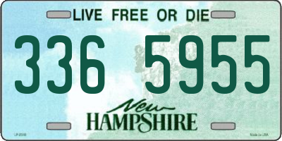 NH license plate 3365955