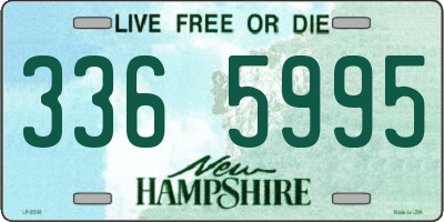 NH license plate 3365995